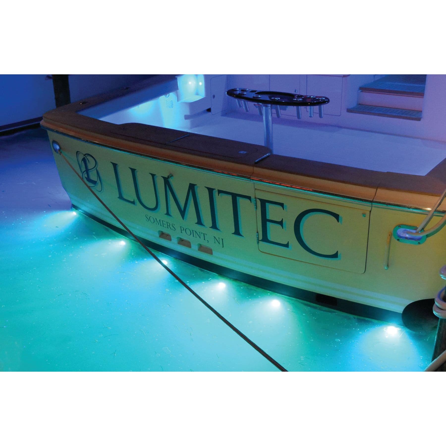 SeaBlaze X2 L.E.D. Underwater Light (Dual-Color - White/Blue)