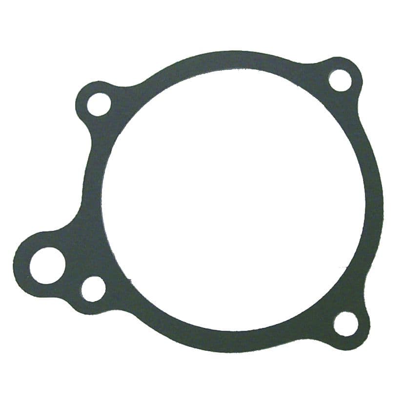 Water Pump Gasket