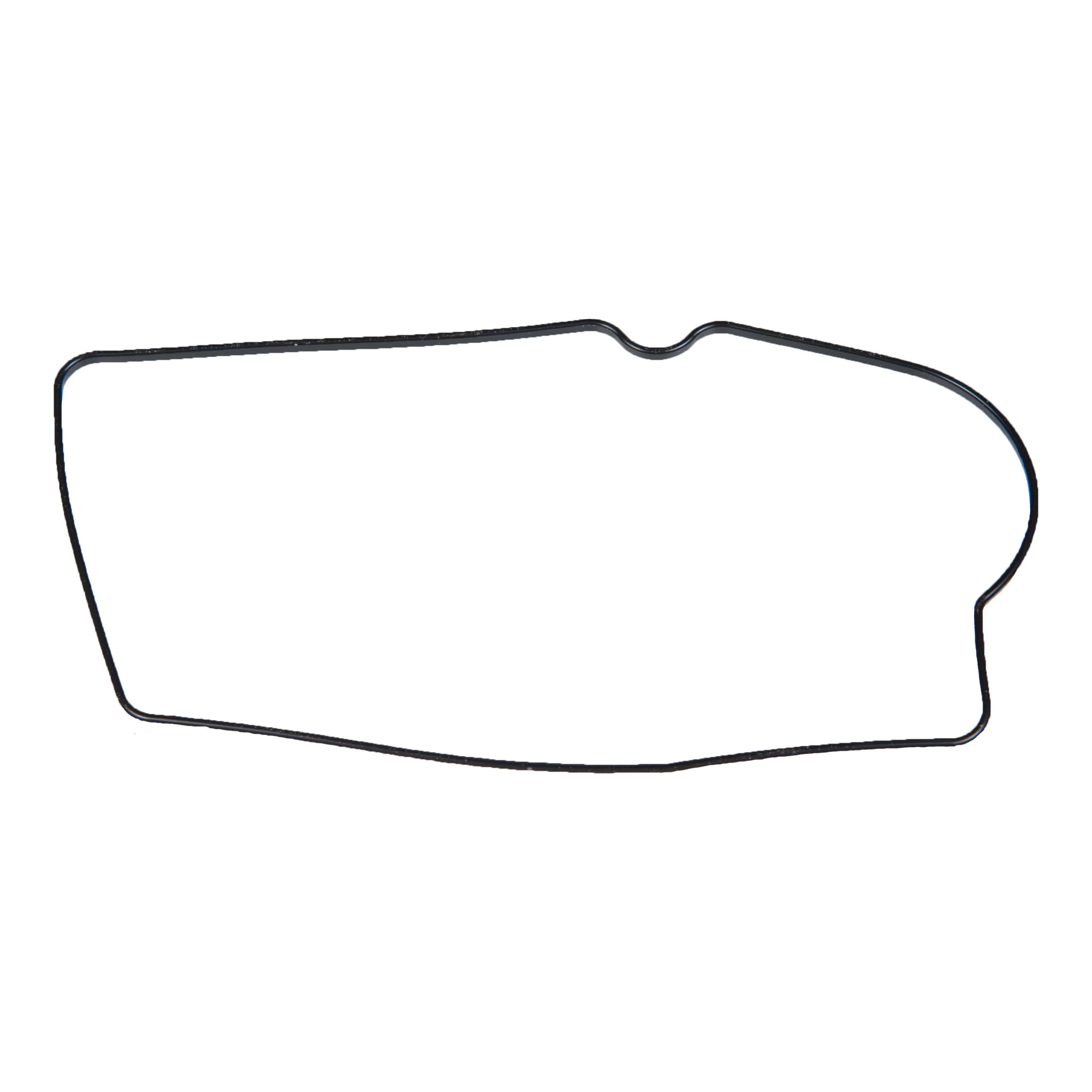 Float Chamber Gasket