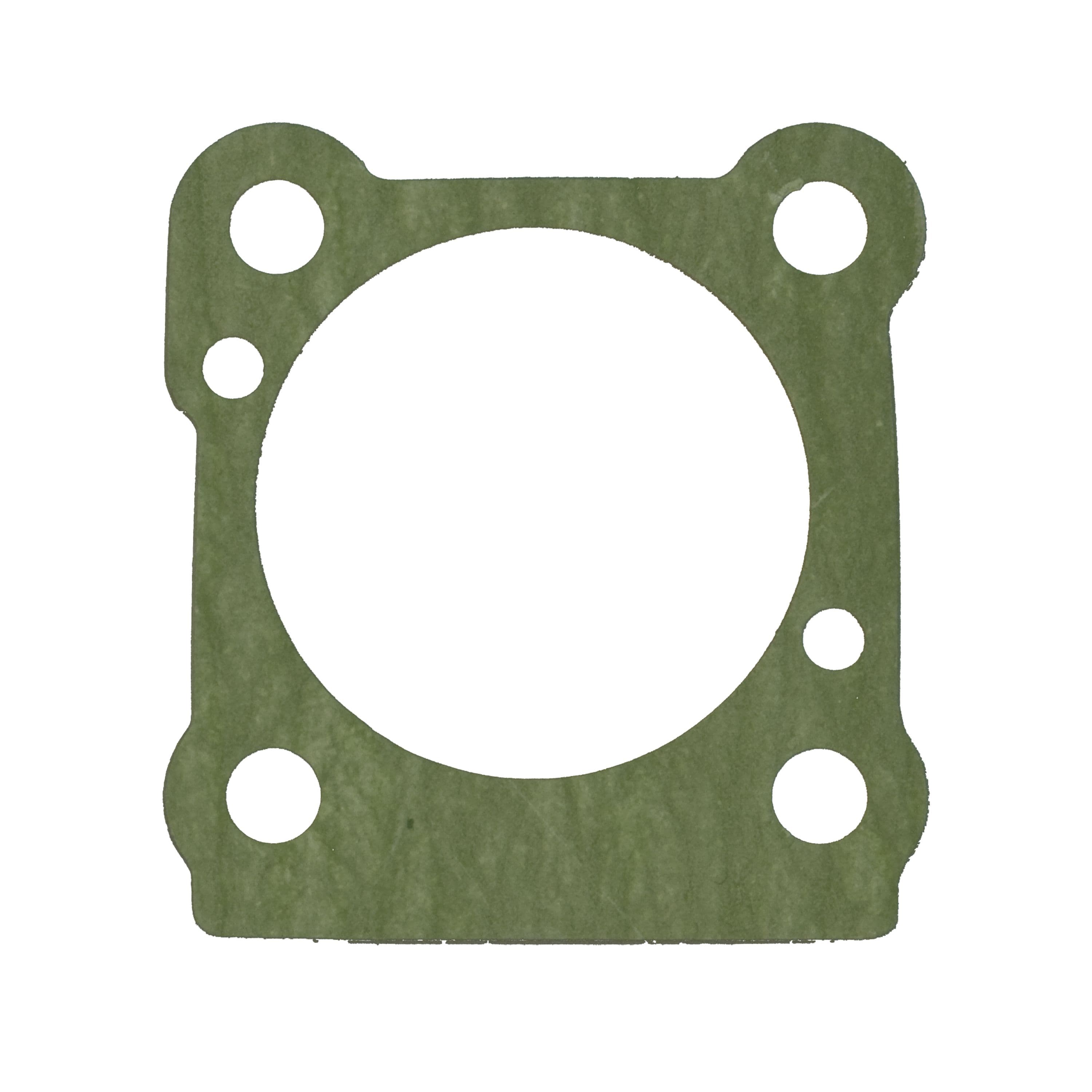 Water Pump Gasket