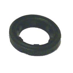 Thermostat Seal