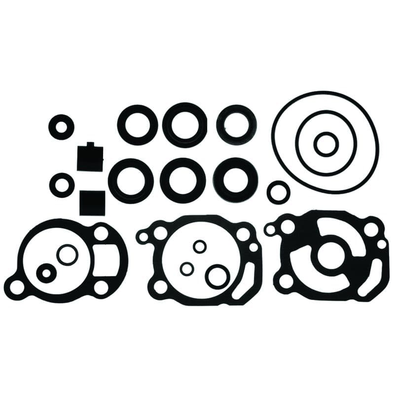 Lower Unit Seal Kit