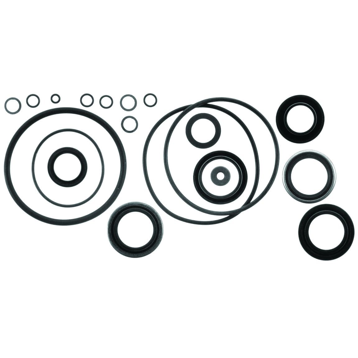 Lower Unit Seal Kit
