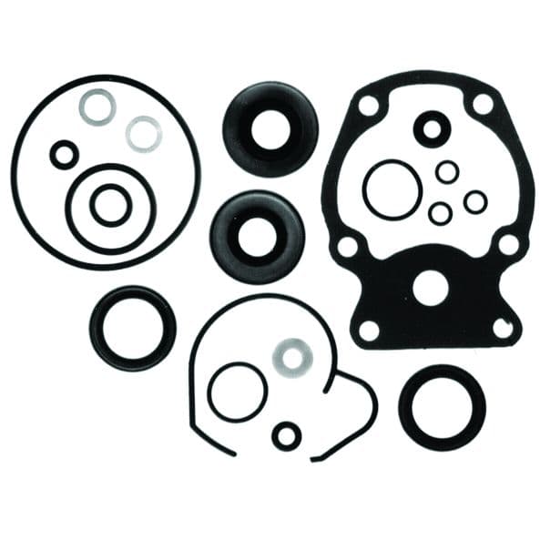 Lower Unit Seal Kit