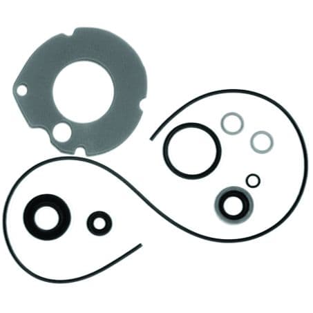 Lower Unit Seal Kit
