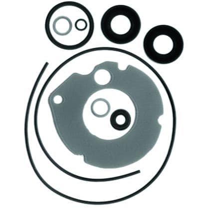Lower Unit Seal Kit