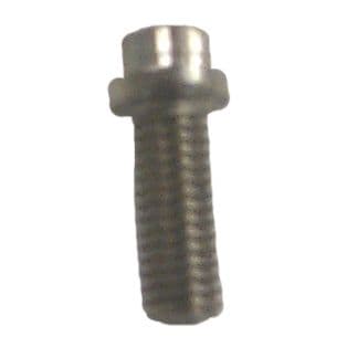Stainless Steel Bolt
