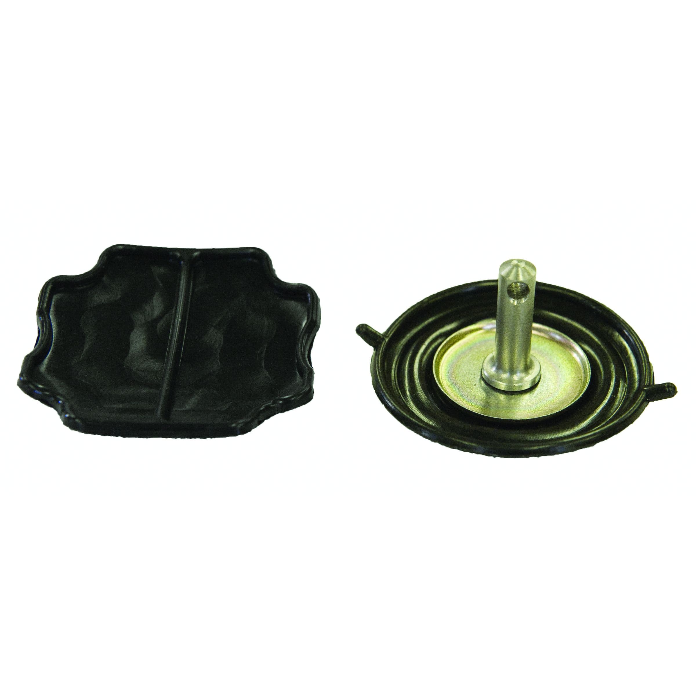 Diaphragm Kit