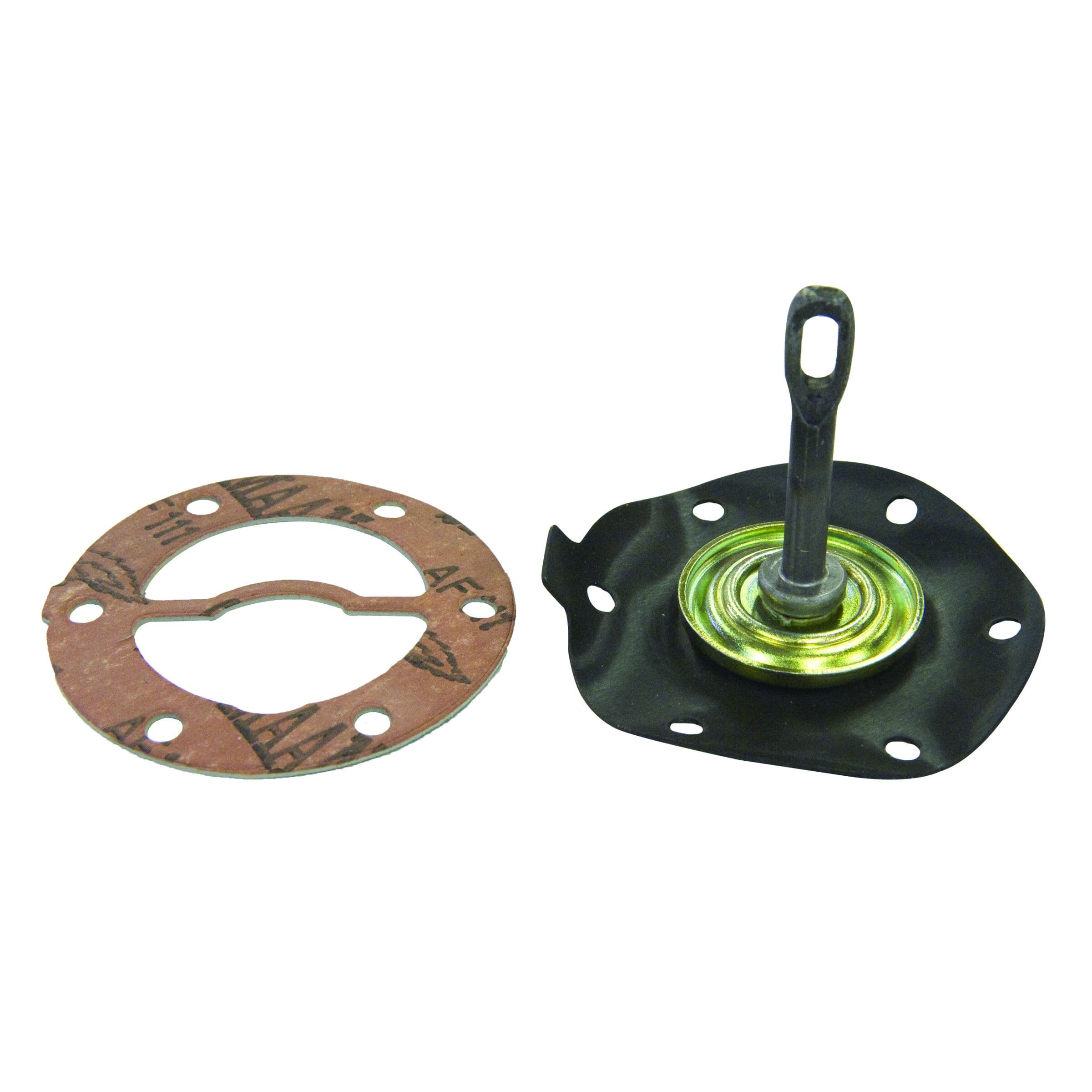 Diaphragm Kit