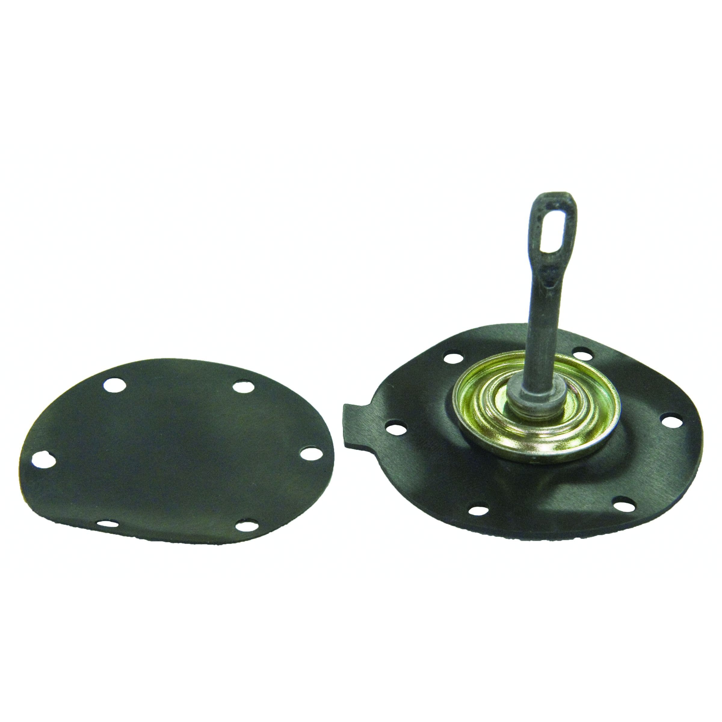 Diaphragm Kit