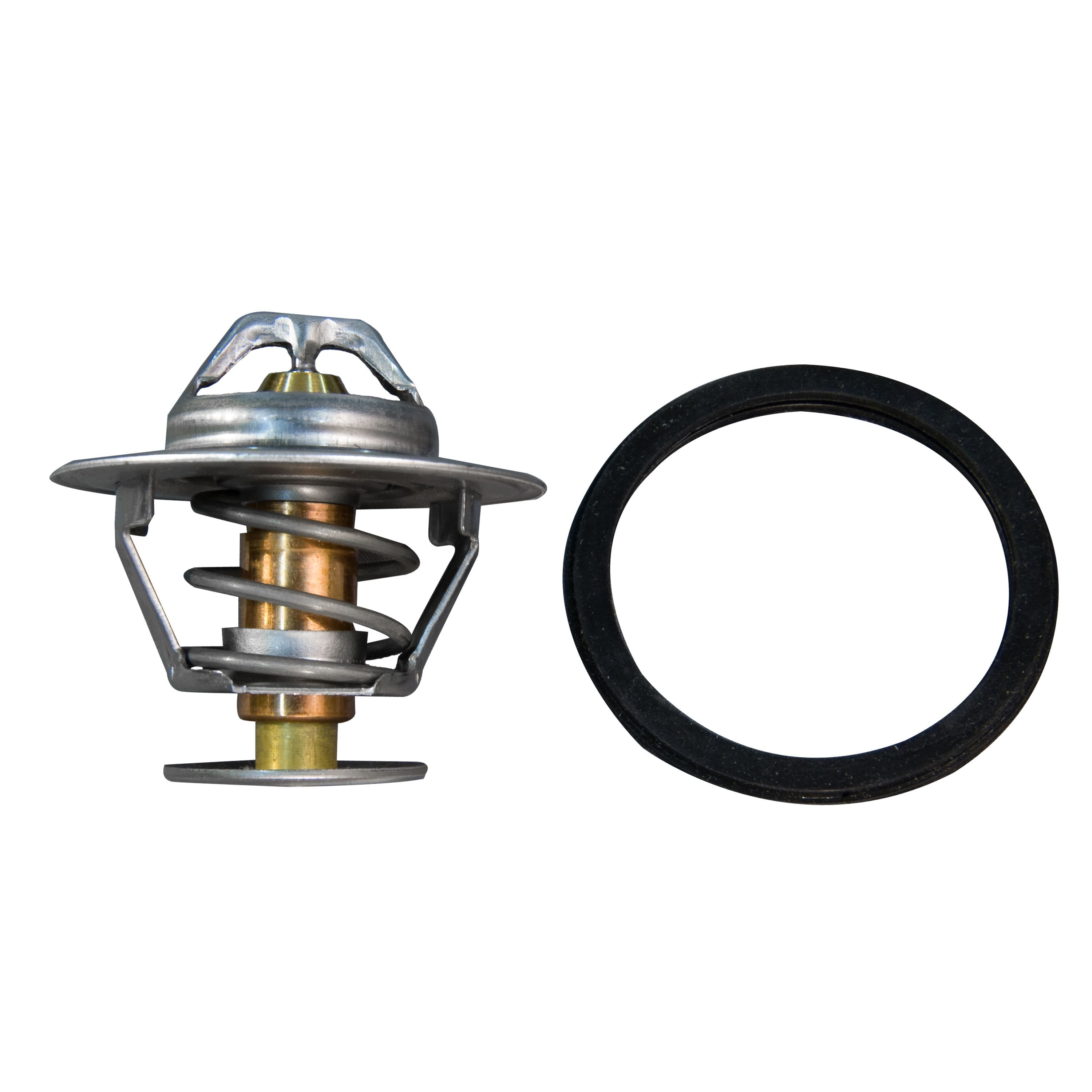 Thermostat Kit
