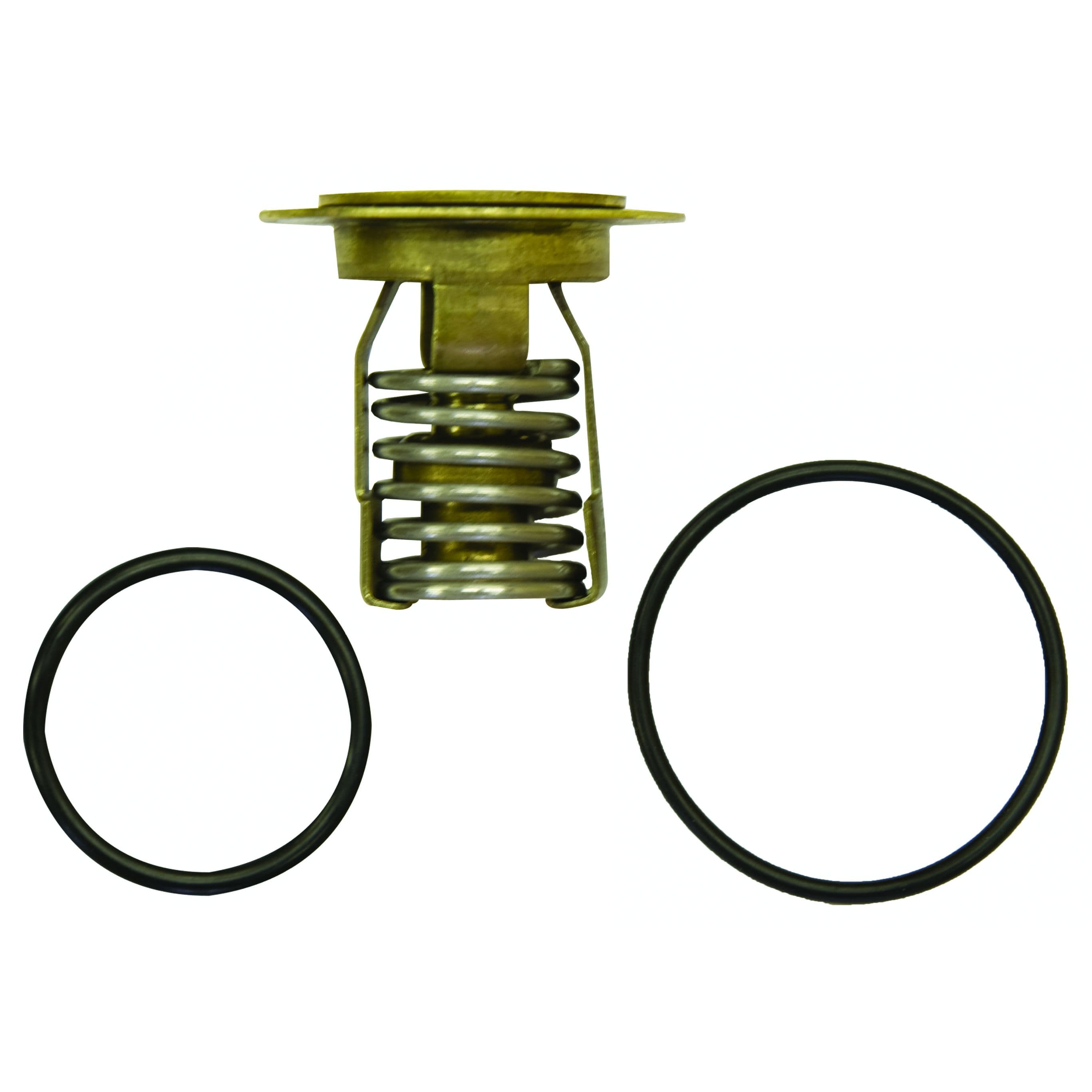 Thermostat Kit