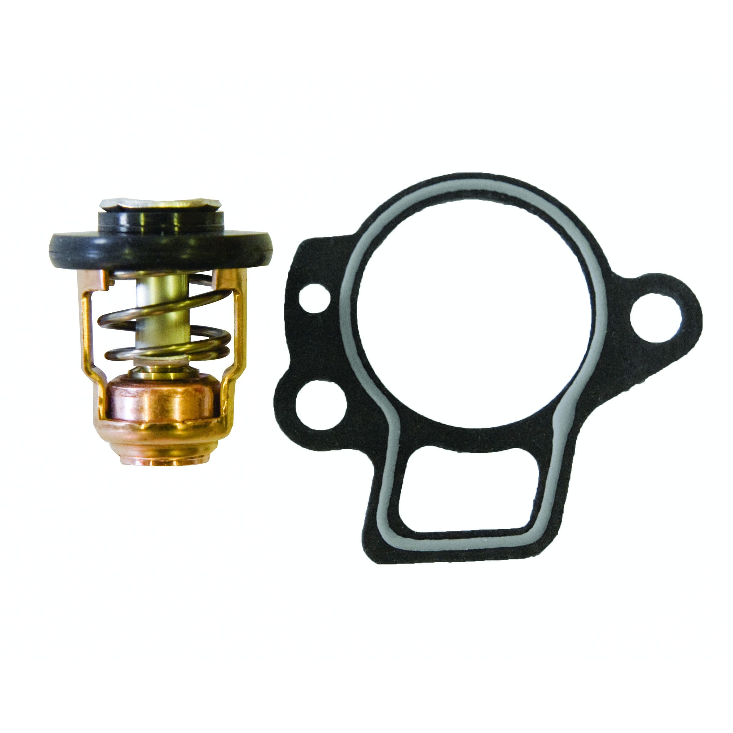 Thermostat Kit