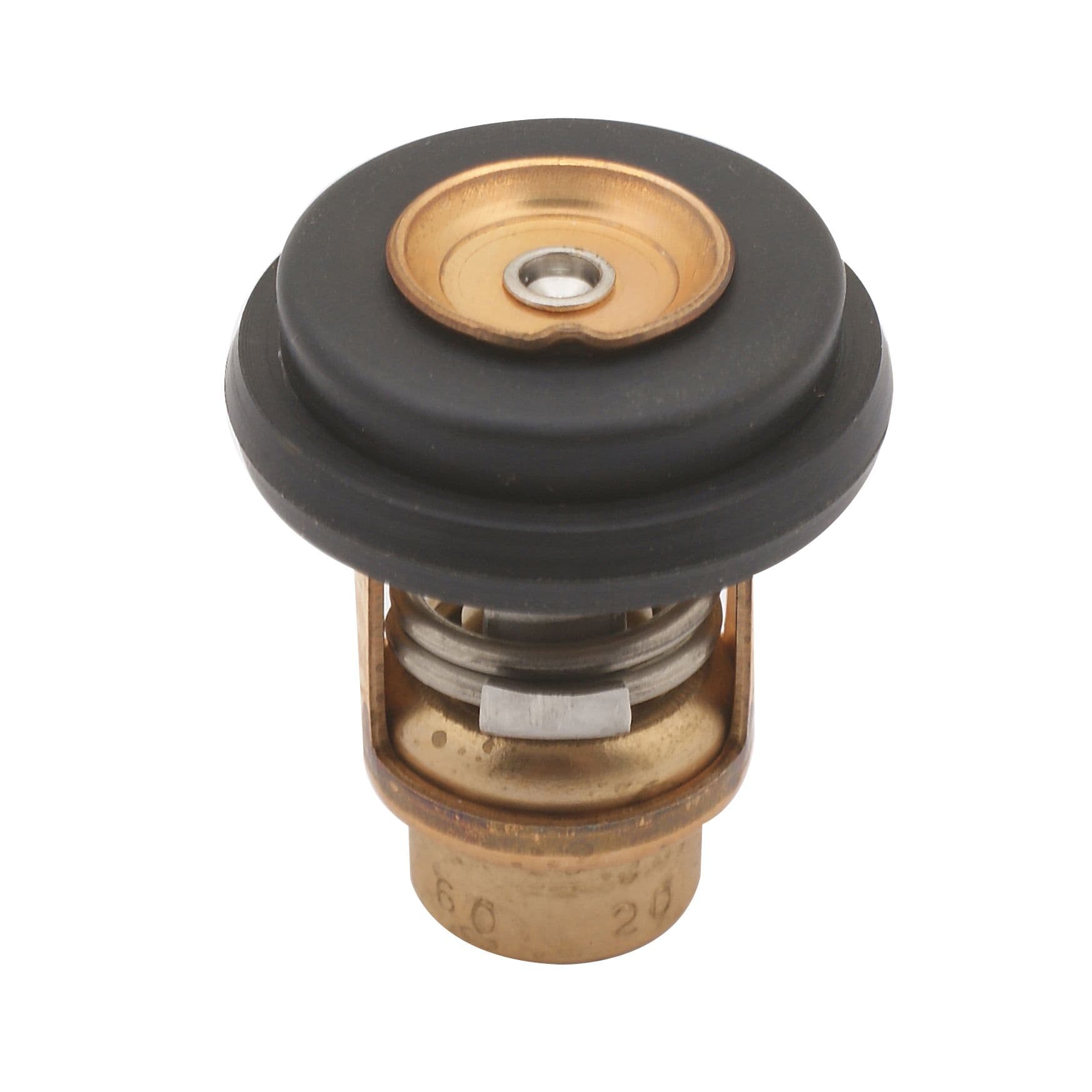 Thermostat Kit