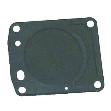 Fuel Pump Diaphragm