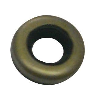 Shift Shaft Seal