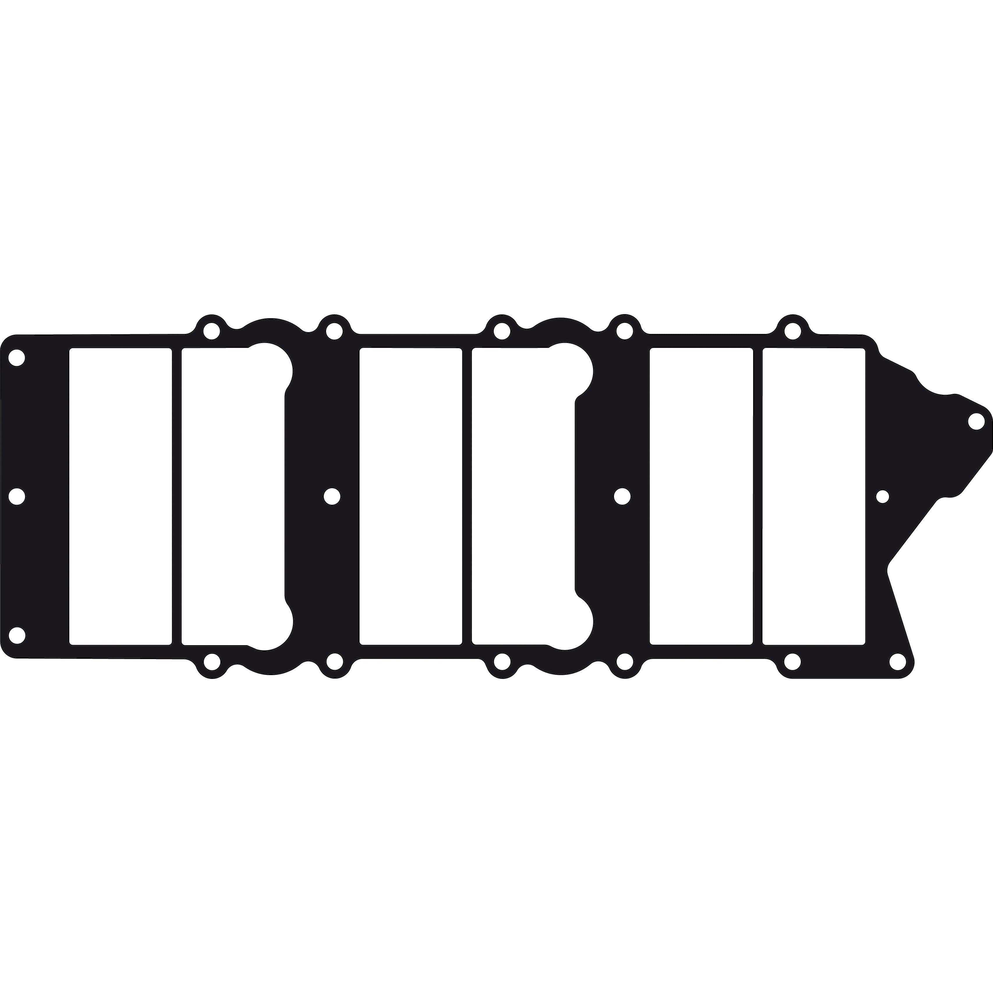 Intake Gasket