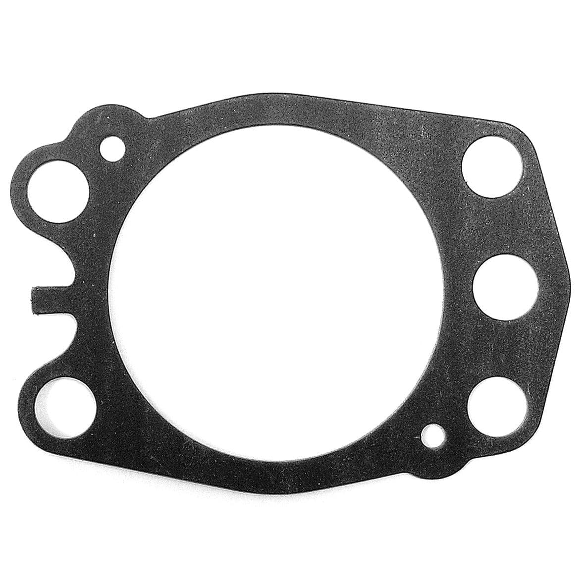 Water Pump Gasket