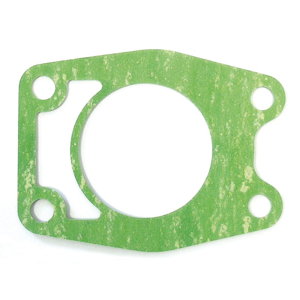 Water Pump Gasket