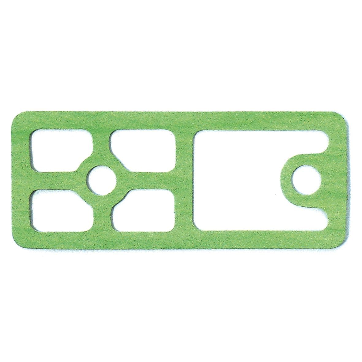 Lower Casing Gasket