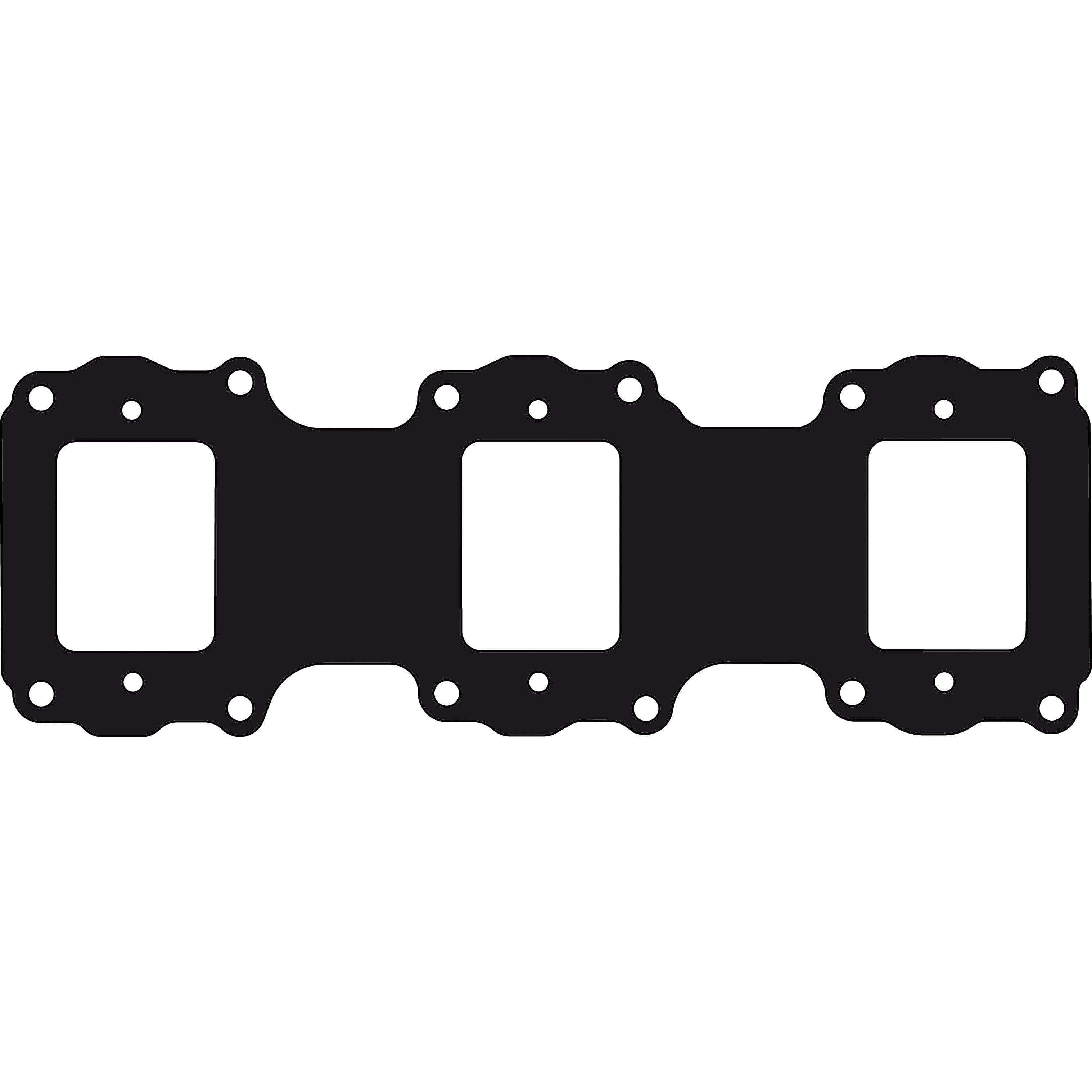 Intake Gasket