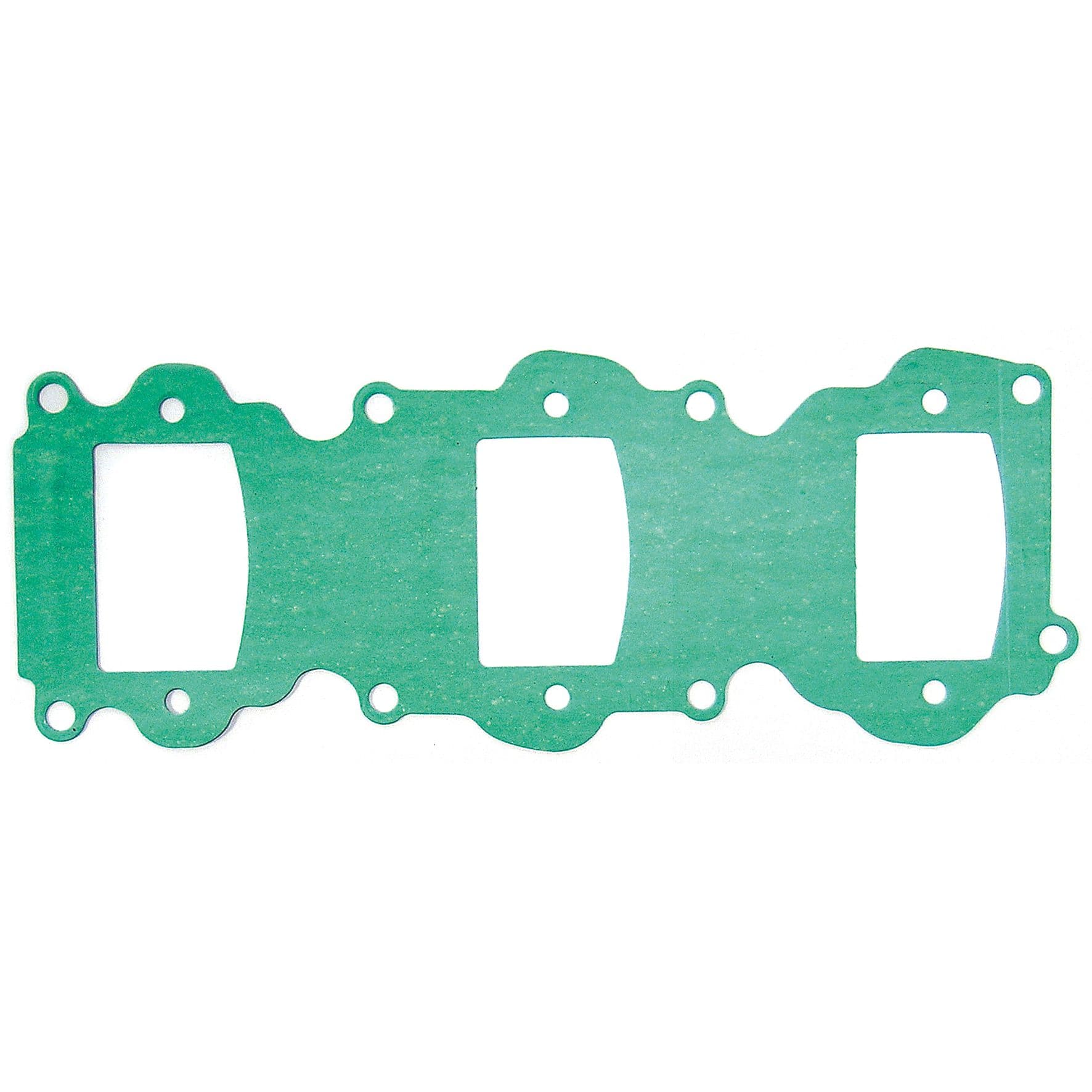 Intake Gasket