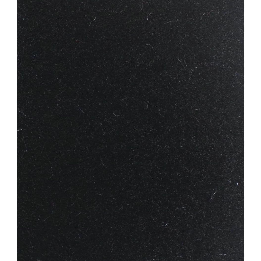 Black G015 Bayside Cut Pile Carpet (12” x 12’)