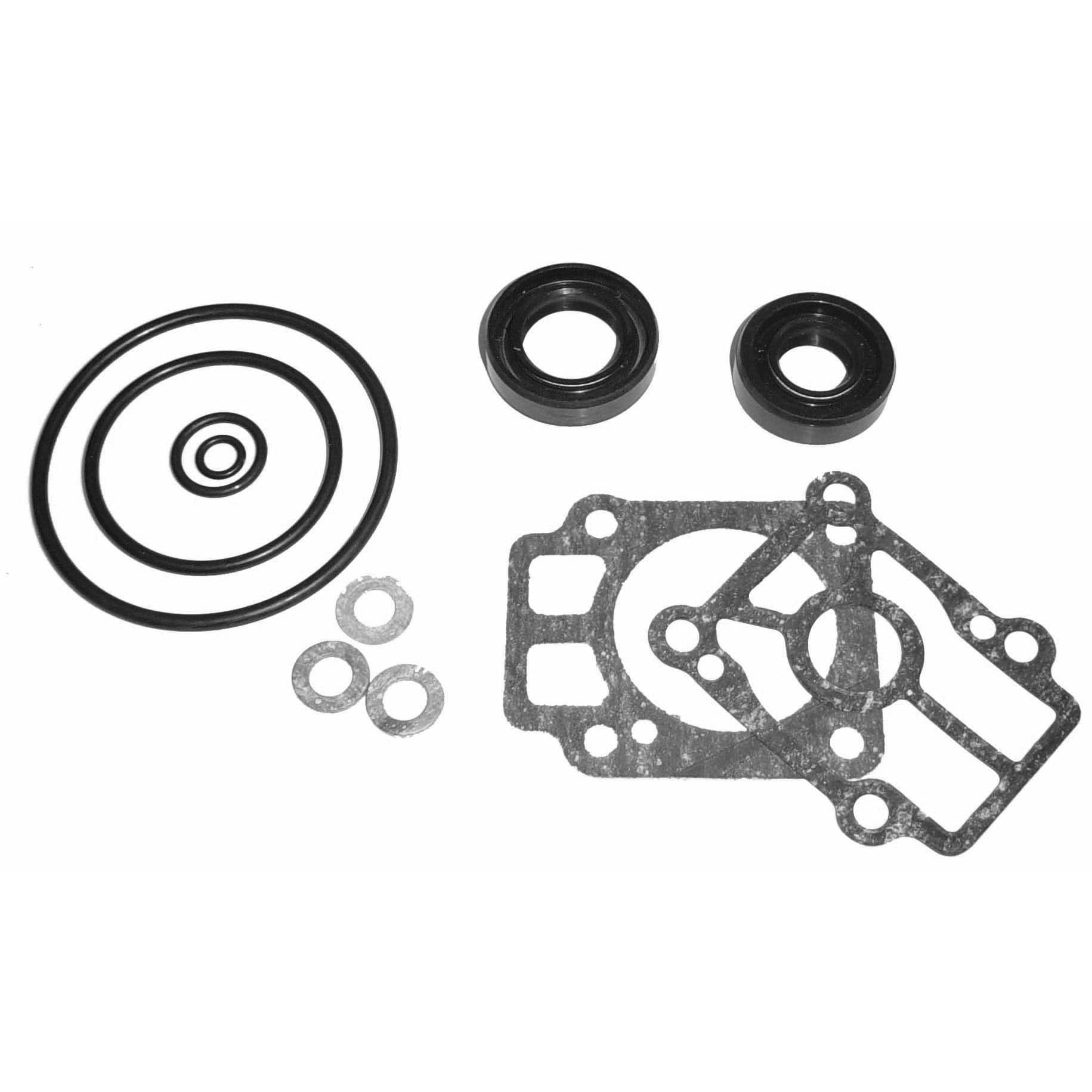LOWER UNIT SEAL KIT