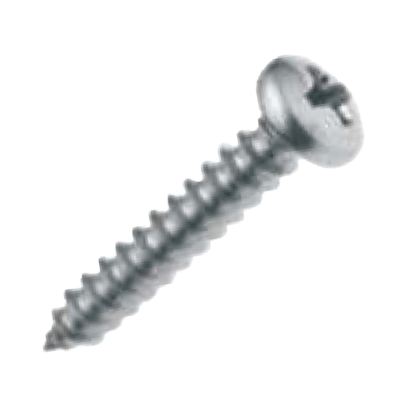 Self Tapping Pan Head Screw (6 x 3/4”, 4 pcs)