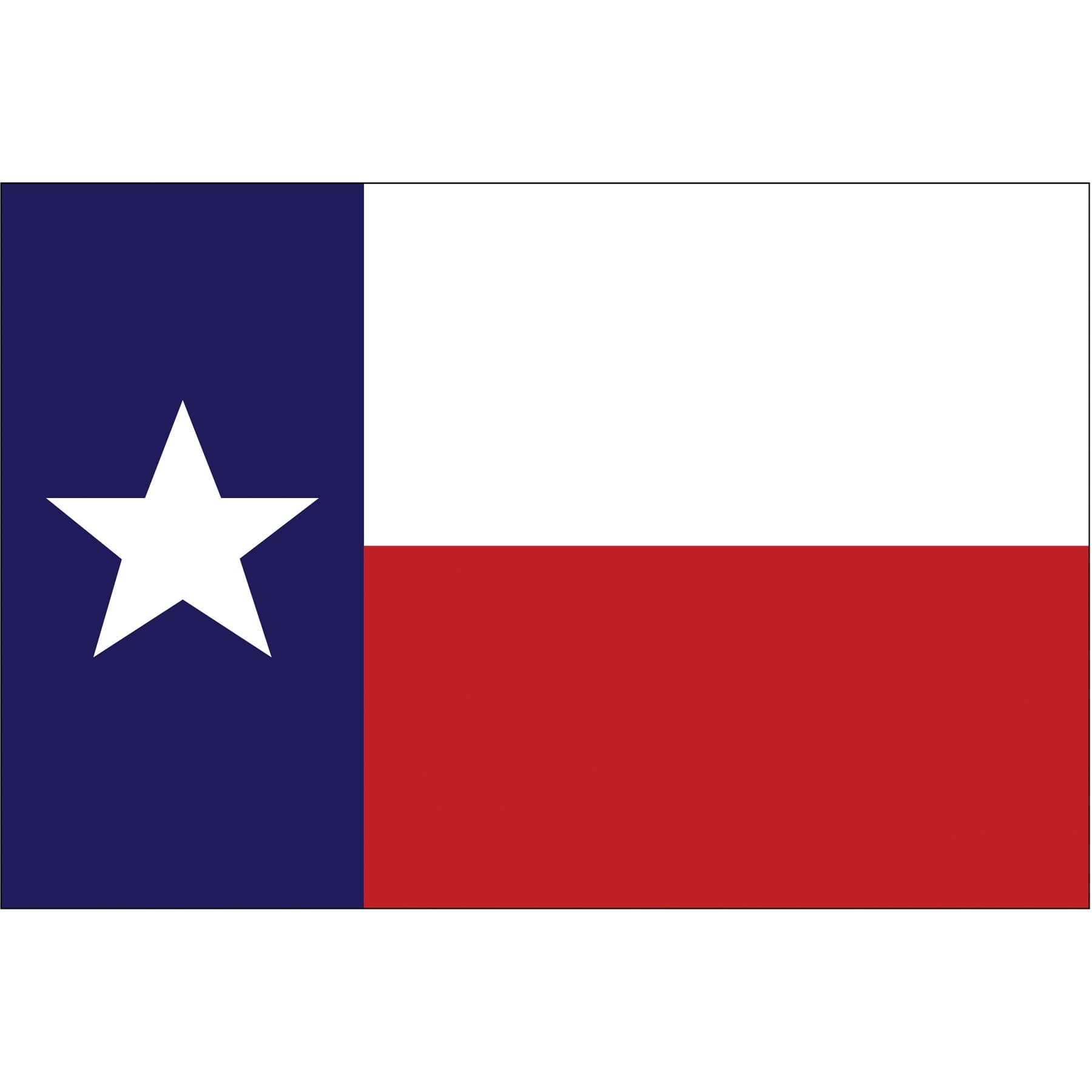 Nylon Design Flag (Texas, 12” x 18”)
