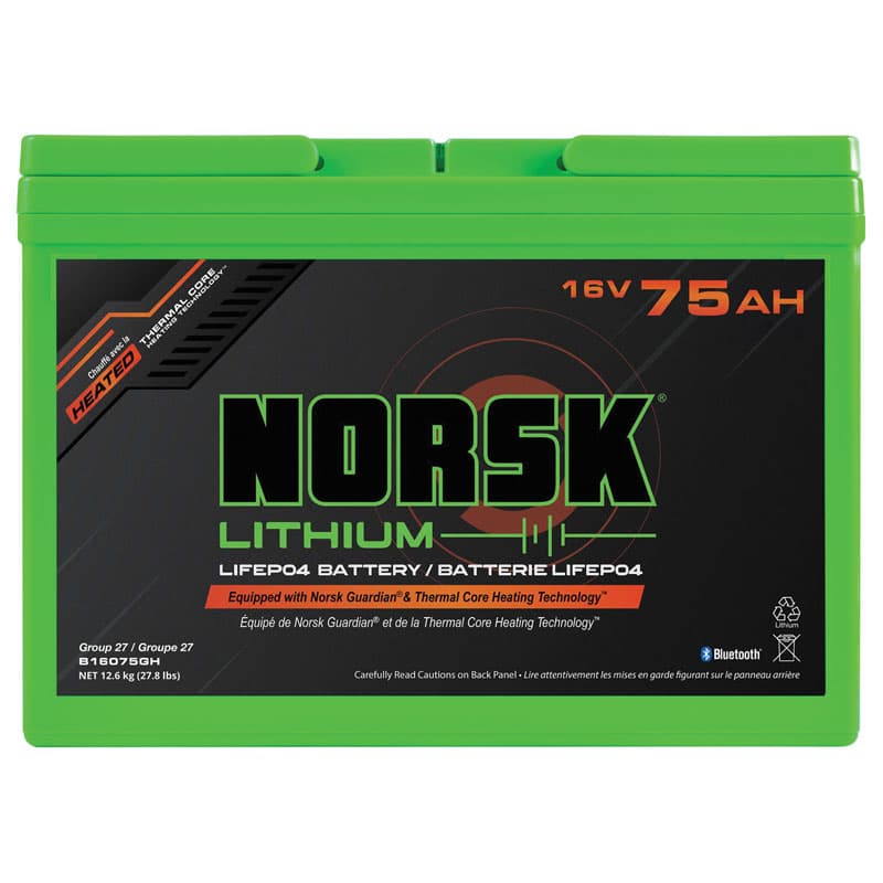 Lithium Iron Phosphate (LiFePo4) 16V MAX RT Battery