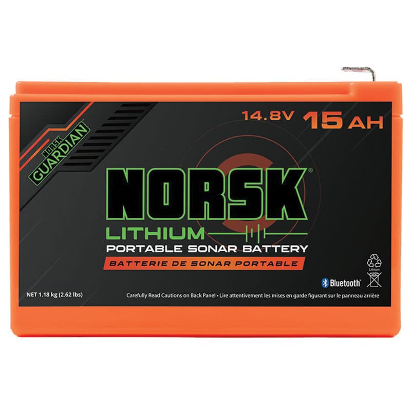 Lithium Iron Phosphate (LiFePo4) 12.8V Battery