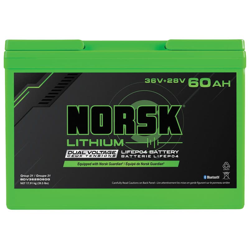 Lithium Iron Phosphate (LiFePo4) Dual-Voltage Battery - 60 AH