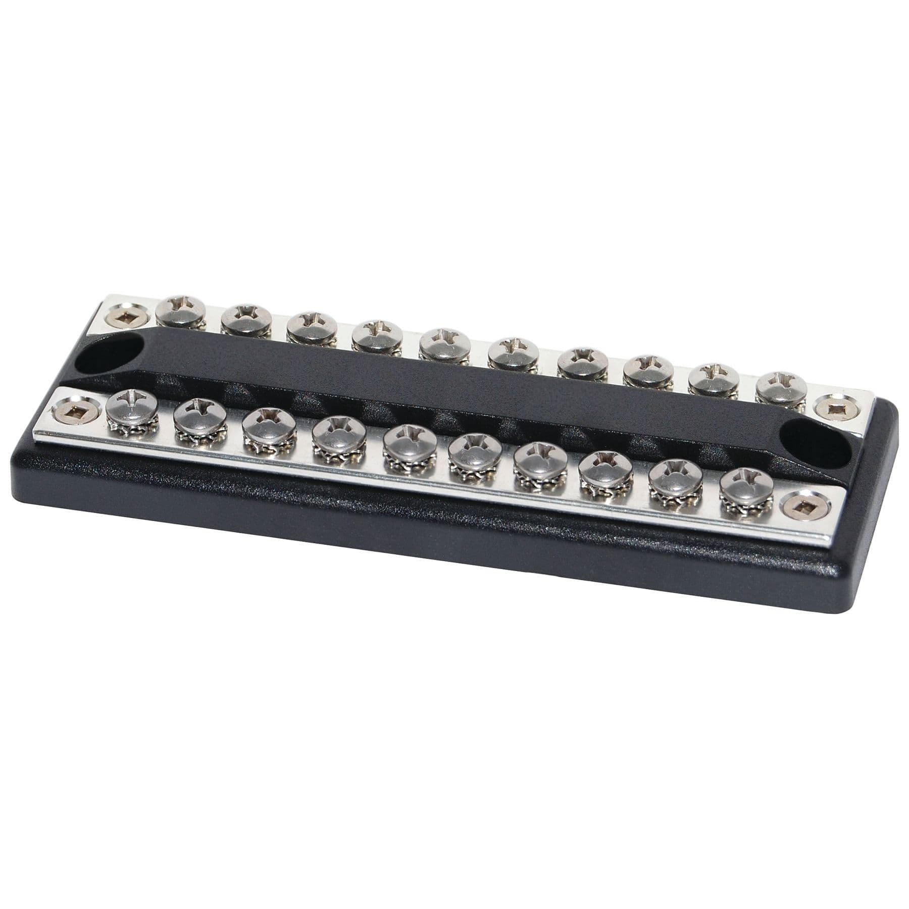 DualBus - 100A Common BusBar (10 Terminal Screws)