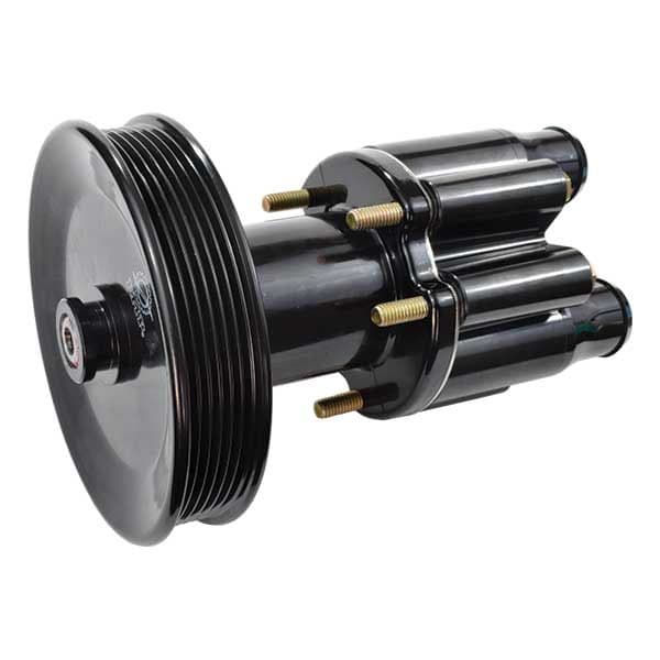 Complete Pump with Pulley (46-13199)