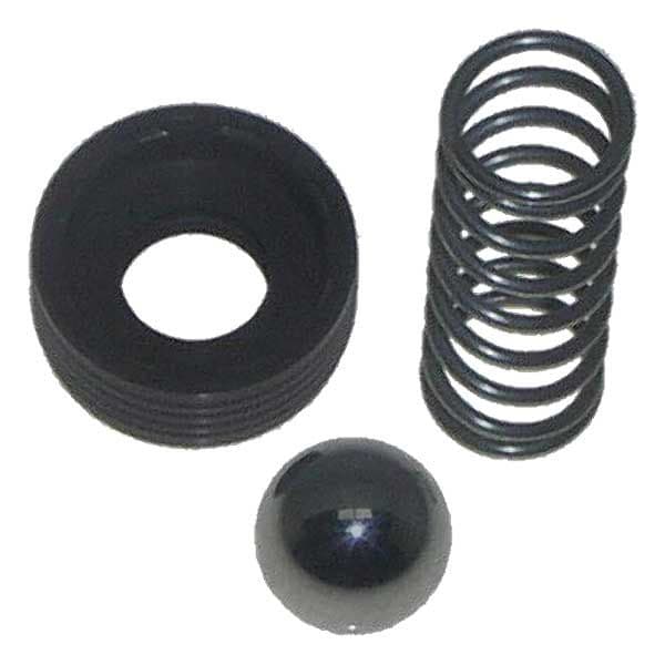 Check Valve Kit (21-02382)