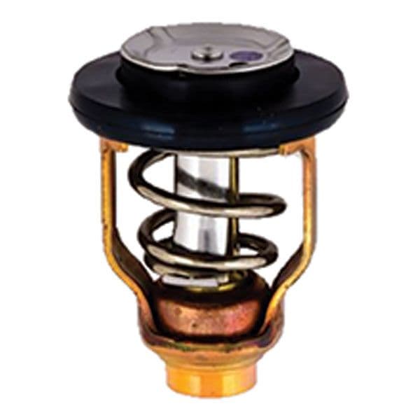 Thermostat﻿ (75-75511)