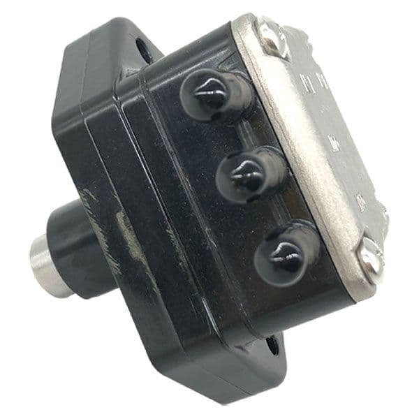 Fuel Pump (1399-39546)