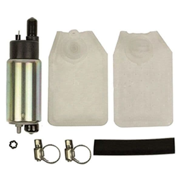 Electric Fuel Pump and Filter﻿ (1399-39556)