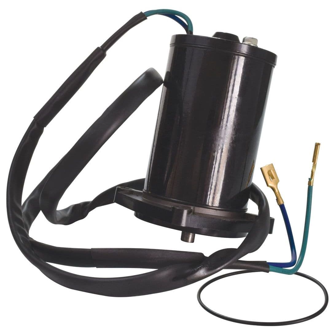 Johnson/Evinrude 35-50 HP 2 Cyl Trim & Tilt Motor (300-26104)