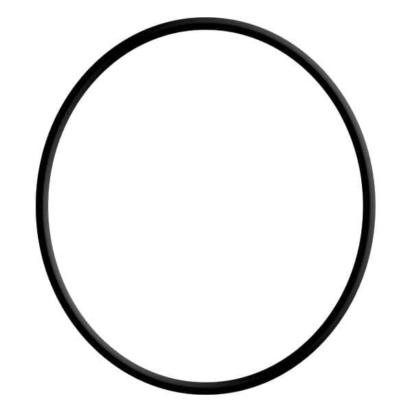 O-Ring (26-02745)