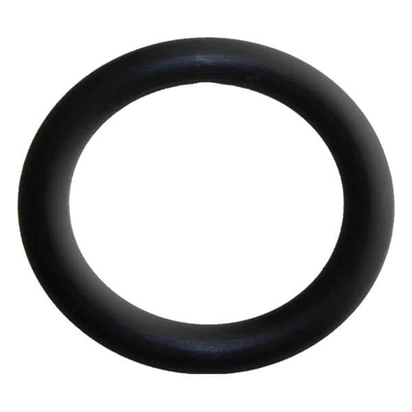 O-Ring (25-00163-1)