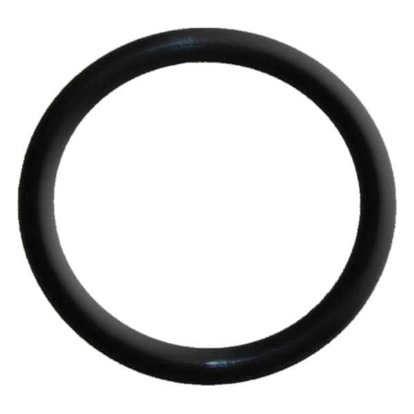 O-Ring (25-00203-1)