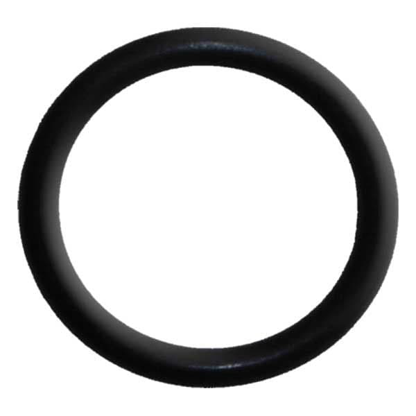 O-Ring (25-00205-1)