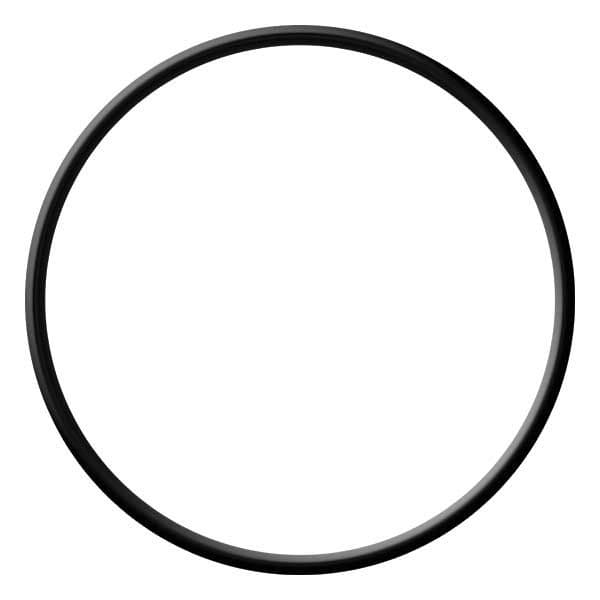O-Ring (25-00217)