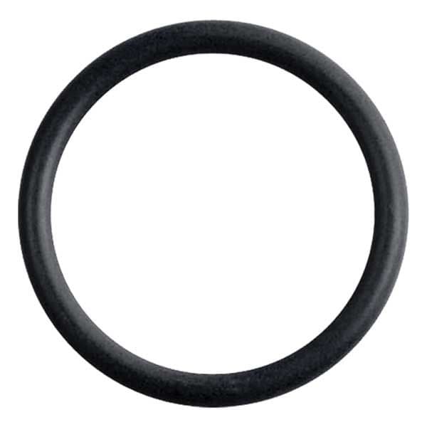 O-Ring (25-00208-1)