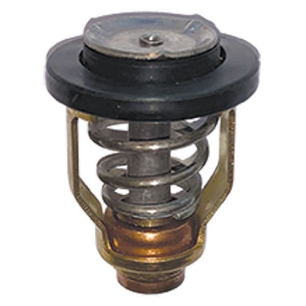 Thermostat (75-75510)