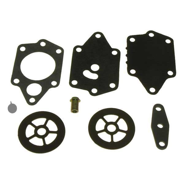 Fuel Pump Repair Kit (1399-01434)