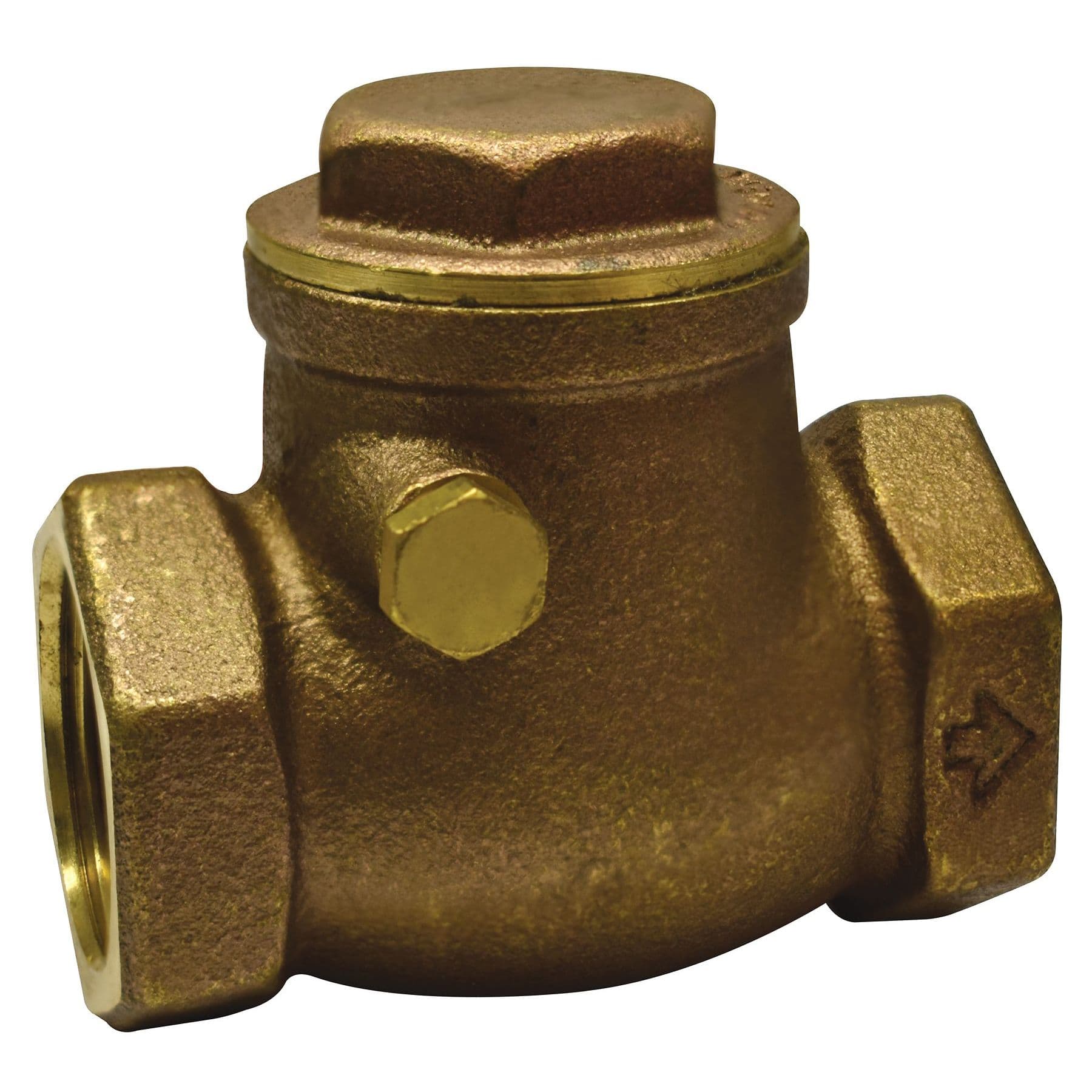 Swing Check Valves (1" NPT)