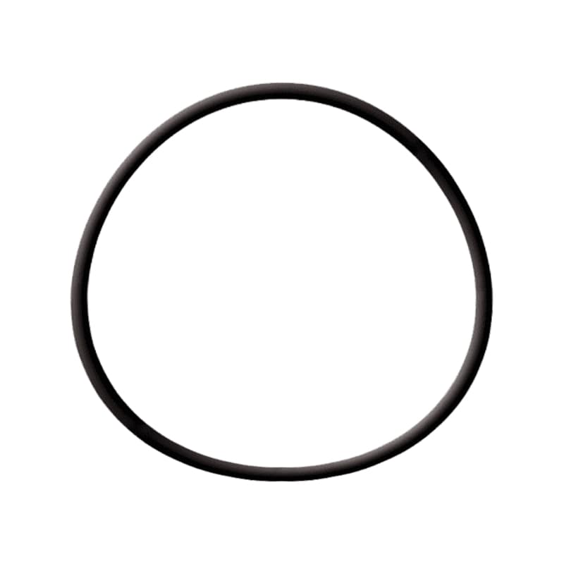Fig. 1119 Spare O-ring for Access Cap
